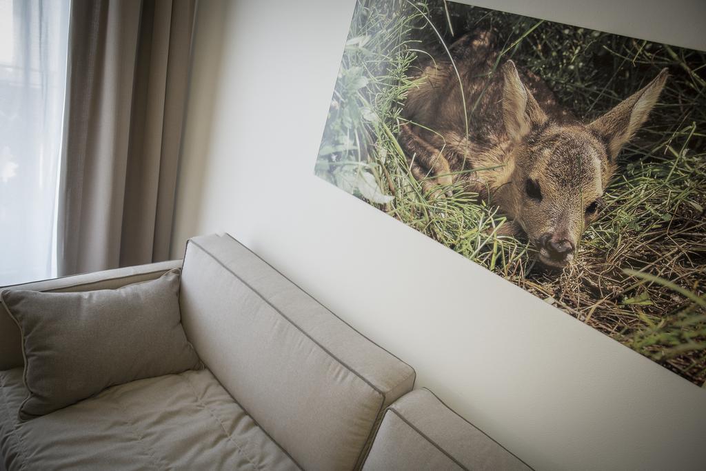 Aparthotel Dolomites Living&Relax 科美扎杜拉 外观 照片